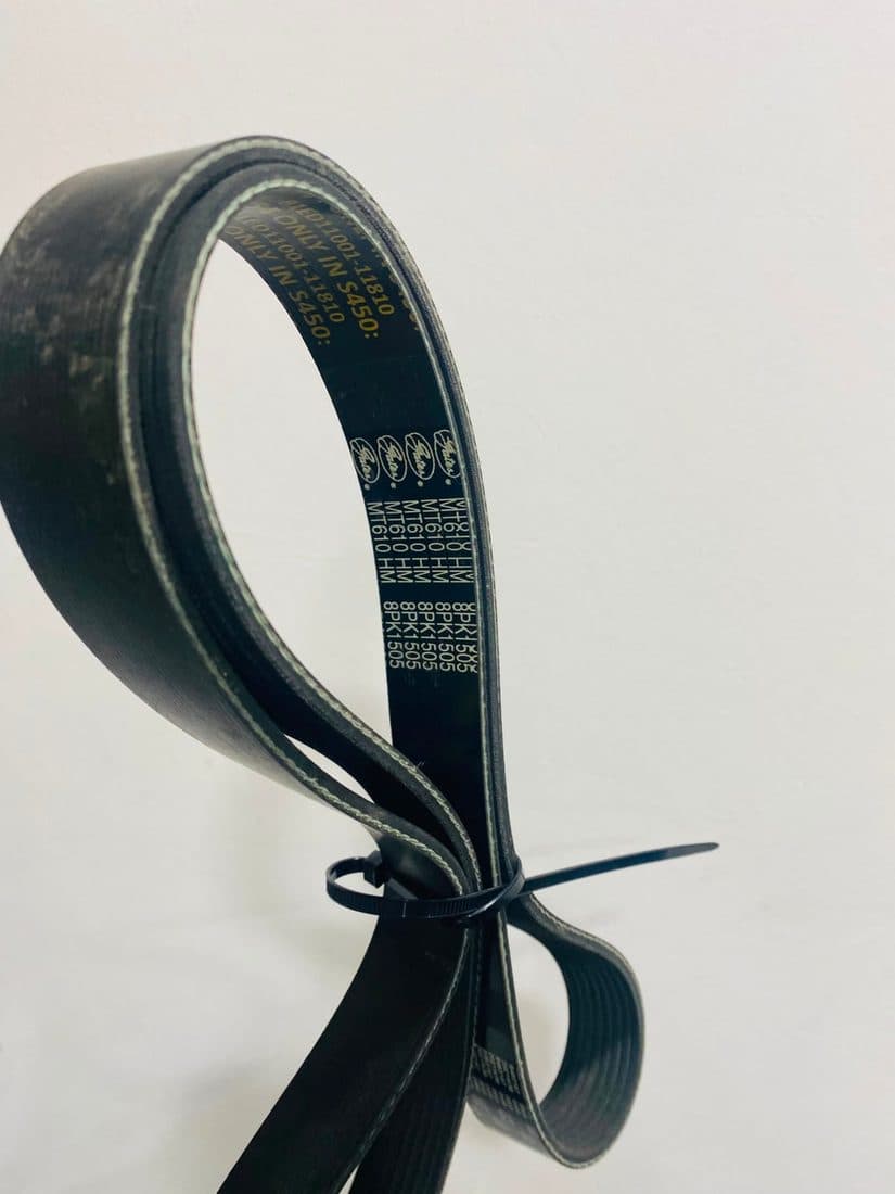 Belt