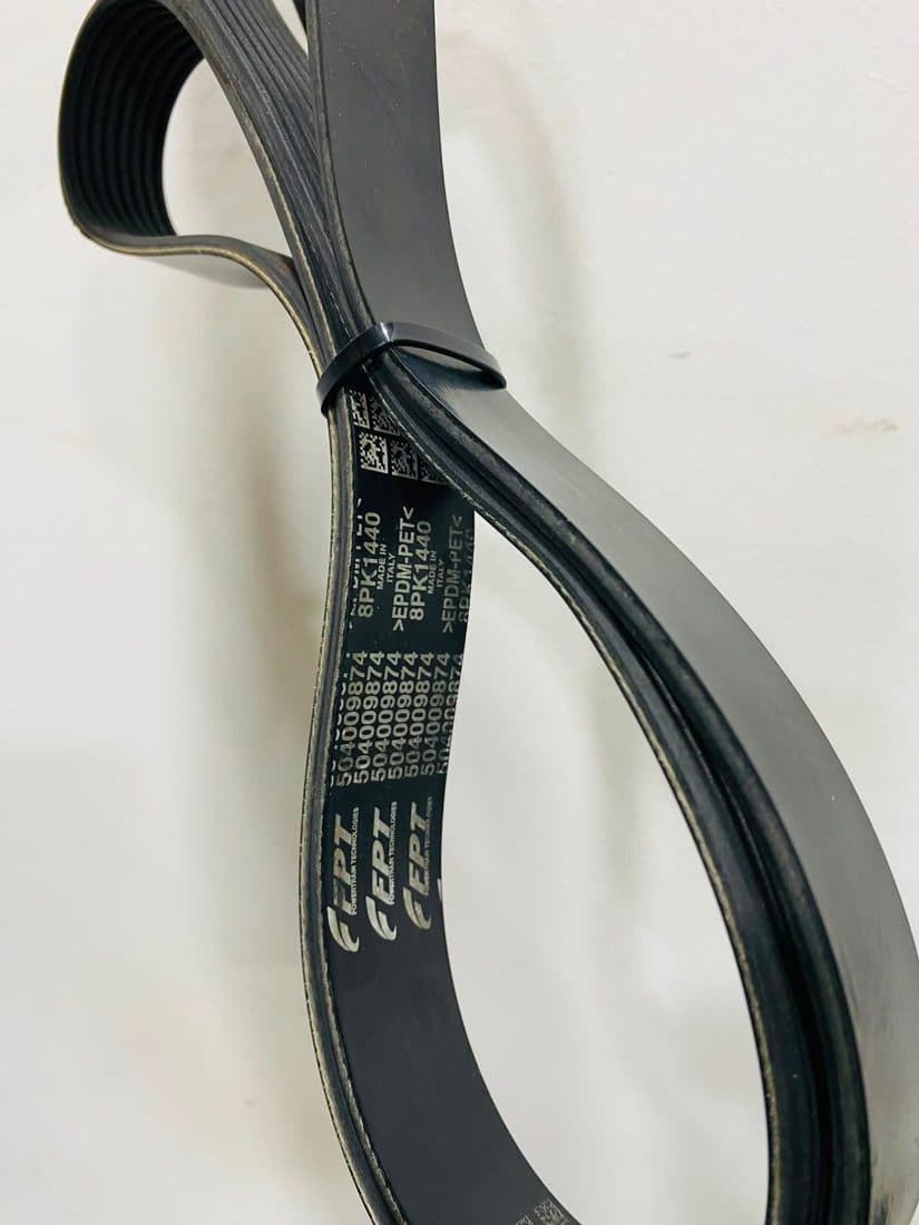 Belt