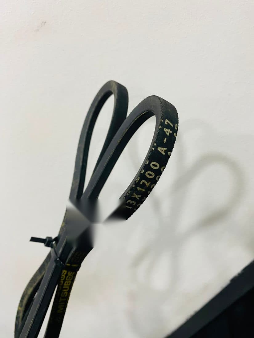 Belt