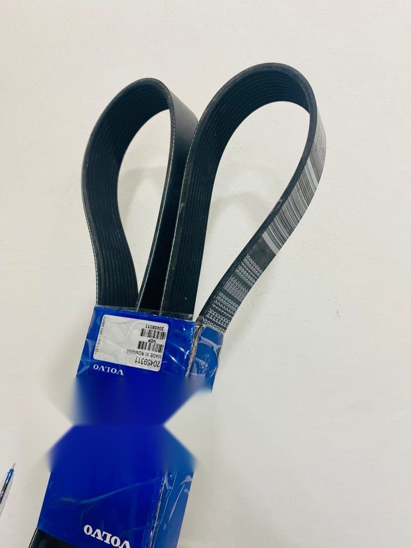 Belt